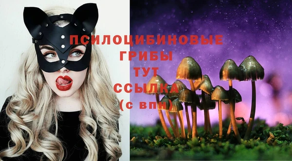 соль курить ск Балабаново