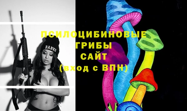 мдпв Новодвинск