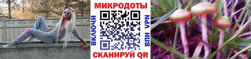 цена   Кувандык  Галлюциногенные грибы Magic Shrooms 